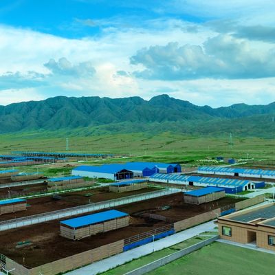 Structure en acier préfabriqué bâtiment en acier modulaire avec traitement de surface durable et longue durée de vie