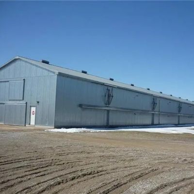 Hangar avicole préfabriqué en acier, structure légère Q235B Q355B