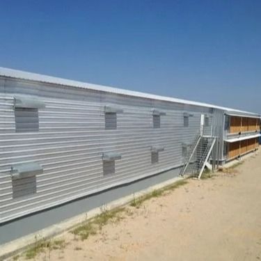Hangar avicole préfabriqué en acier, structure légère Q235B Q355B