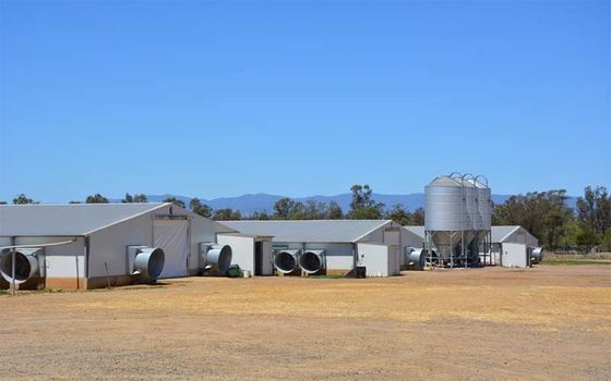 Structure préfabriquée en acier à faisceau H