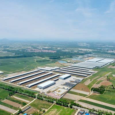 Conception et fourniture d'un hangar de ferme laitière moderne en structure métallique en acier avec système de ventilation