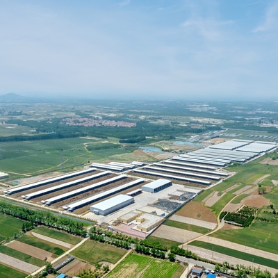 Entrepôt préfabriqué en structure d'acier galvanisé avec une durée de vie de 50 ans