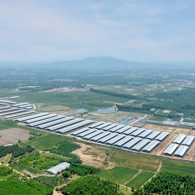 Entrepôt préfabriqué en structure d'acier galvanisé avec une durée de vie de 50 ans