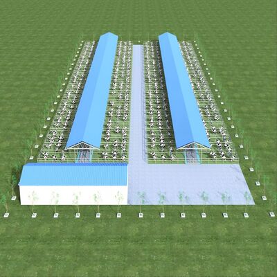 Conception et fourniture d'un hangar de ferme laitière moderne en structure métallique en acier avec système de ventilation