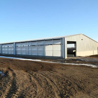 Steel Structure Cattle Shed for Livestock Farming