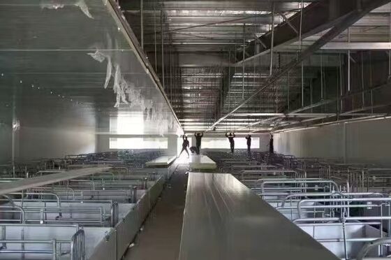 	
Prefabricated Buildings Poultry House Steel Structure Poultry Farm House Steel Building Frame for Cow Shed