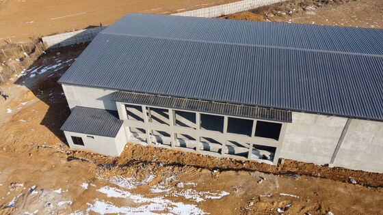 Poulailler moderne préfabriqué à structure métallique pour poules pondeuses