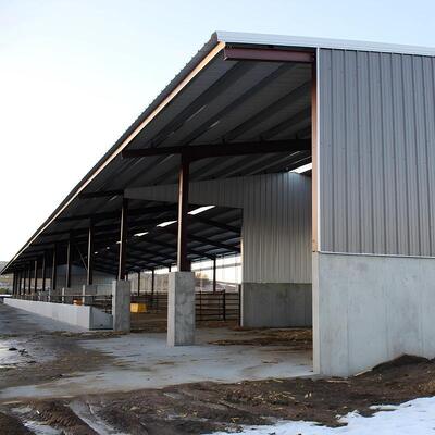 Abri pour bovins en acier galvanisé à chaud avec isolation de toiture